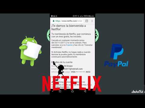 New Bin Netflix 30/11/17 Running