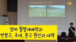 양파 고품질 다수확 월별재배력 및 생리장해 대책