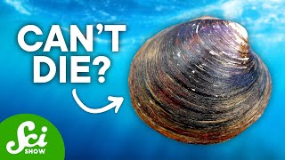 9 Animals That Will Outlive Us