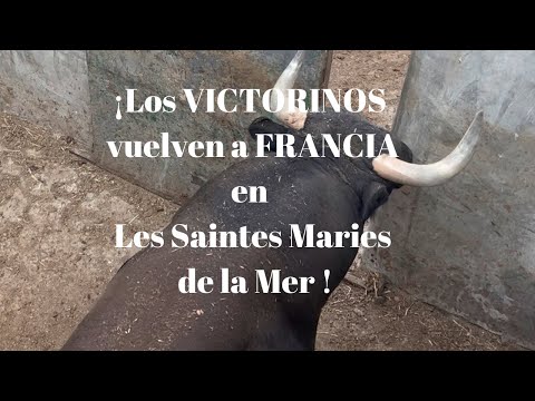 ¡LOS VICTORINOS vuelven a FRANCIA! Embarque Saintes Maries de la Mer