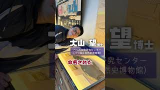 【すごい】山口県美祢市から産出した「2億年前のハチ」がやばすぎた