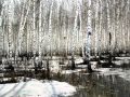 Чайковский - Времена года - Март 
