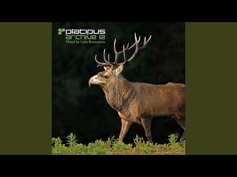 Quantensprung (Original Mix)