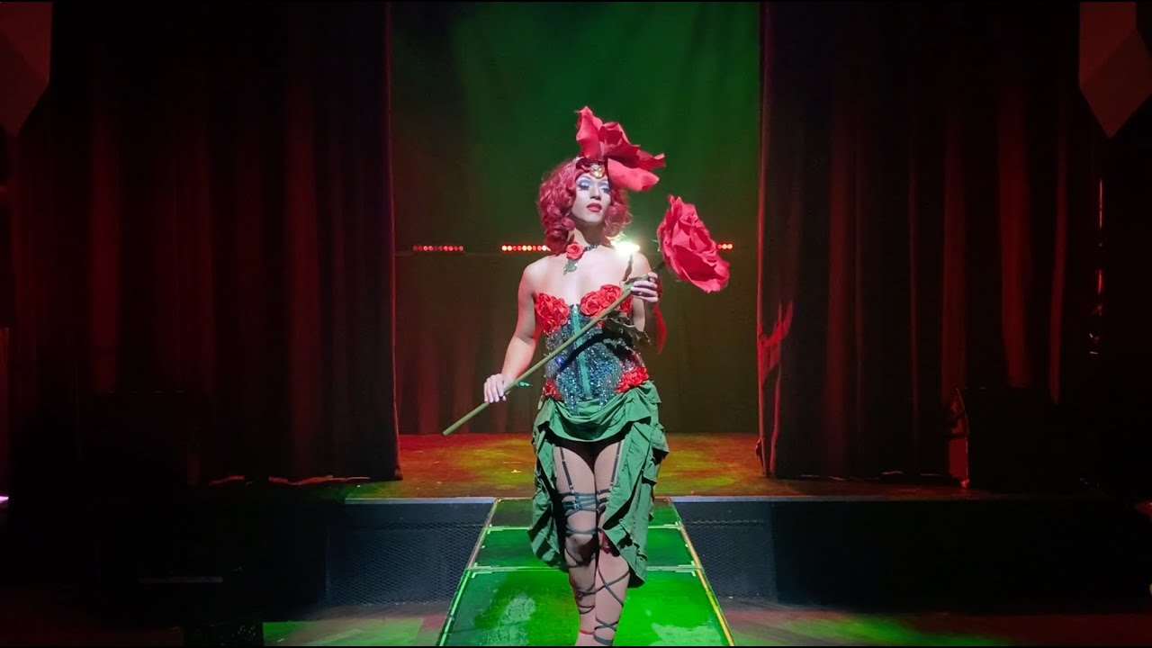 Promotional video thumbnail 2 for Pixel the Drag Jester