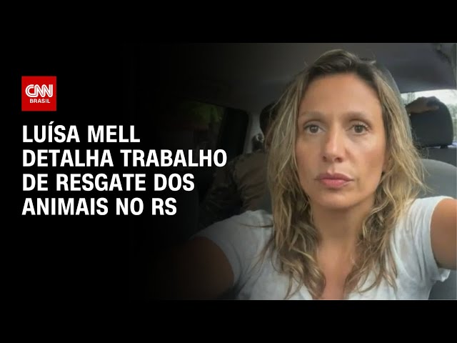Luísa Mell detalha trabalho de resgate dos animais no RS | BASTIDORES CNN