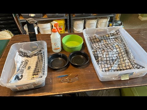 The How and Why of Picking Cocoons