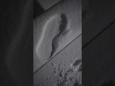 SMADREMANDEN .... .. 16. februar 2021