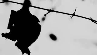 Collapsing Stars - Pay Your Last Respects