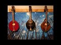 Verona by Bill Frisell on three mandolas