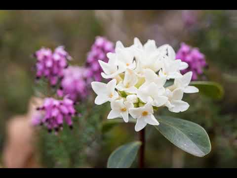 Tramonti di Sopra - Il racconto di Fabiano Bruna