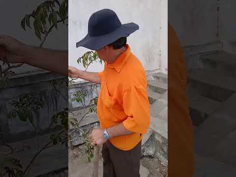 4 de dezembro de 2025