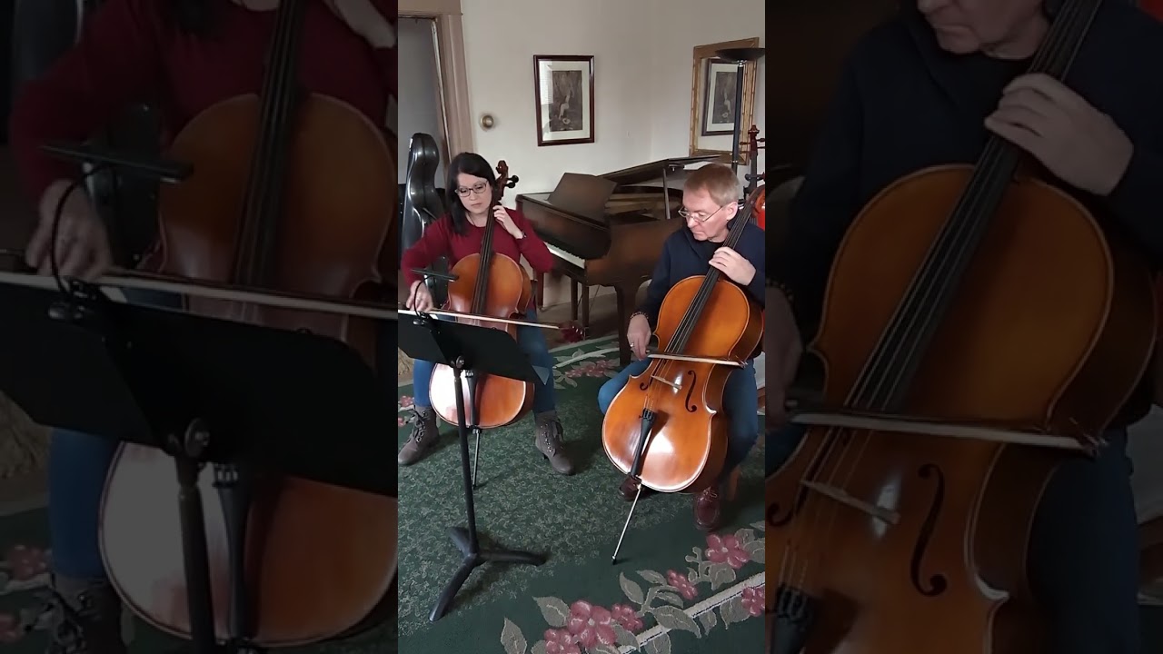 Promotional video thumbnail 4 for You Had Me at Cello