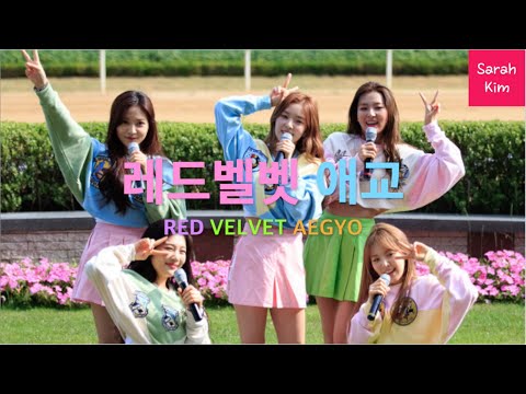 레드벨벳 멤버별 애교 모음 (Red Velvet aegyo compilation for each member)