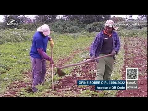 PL que flexibiliza regras sobre agrotóxicos é analisado na Comissão de Agricultura