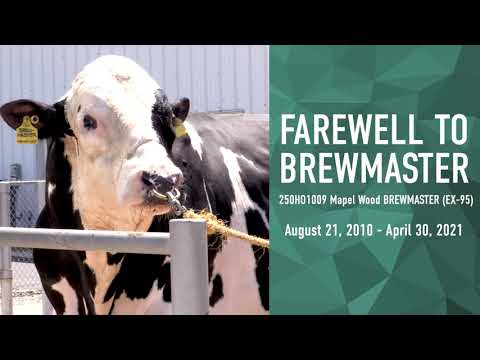 Farewell to BREWMASTER