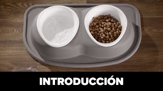 WeatherTech Pet Feeding System: One Minute Overview (Spanish)