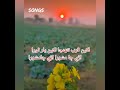 Lakhen Qurb Tuhanja Lakhen Yar Thora Ary Jamshora Sindhi Song