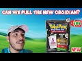 Opening The PokeRev Obsidian Mega Bonus Pack 7 0 Pack Battle