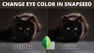 Change Eye Color in Snapseed