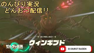 どんおつ配信「ゼルダの伝説 ティアーズオブザキングダム」19