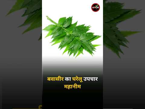 Home Remedies for Piles Mahanim (बवासीर का घरेलू  उपचार महानीम )#neem #pilesclinic #pilestreatment