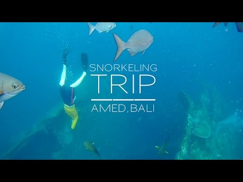 BALI SNORKELING TRIP - Amed & Tulamben