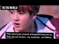 BTS Hindi Mix Haan Tu Hai Anniversary Special