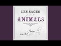 Circus Animals