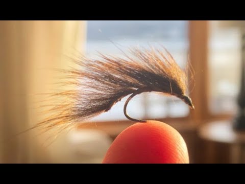 pine squirrel leech - fly tying