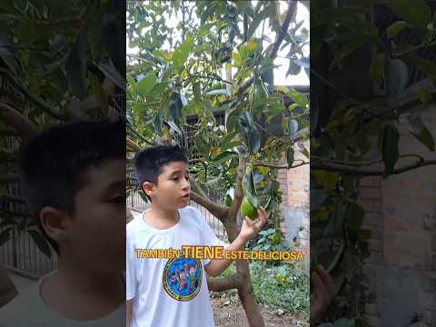 todo lo encontré en la ciudad  de garzon huila