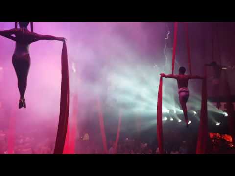 Coco bungo 2016 playa de carmen robert miles children.