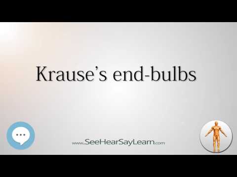 Krause's end bulbs    Anatomy Named After People 🔊