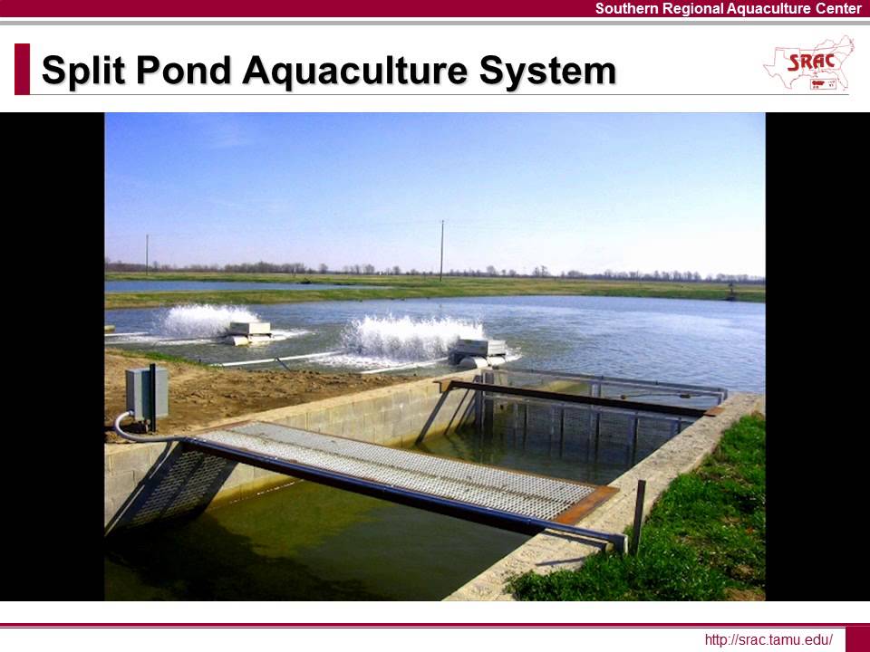 Advanced Aquaculture Systems - Split Ponds