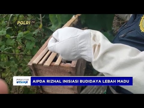 AIPDA RIZHAL - KETAHANAN PANGAN PRODUKSI MADU