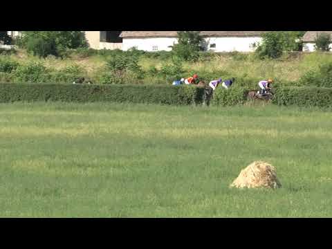 Trka "Petar Urošević" 07.07.2021 Maks Maksi - Miloš Milojević