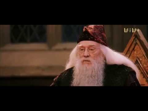 Fresh Dumbledore - Alles für die Kidz [WiWa Music Video] (HD)