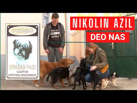 DEO NAS - Nikola (19) je anđeo za napuštene pse: Prvog je spasao kao dečak, sada brine o 63 kuce
