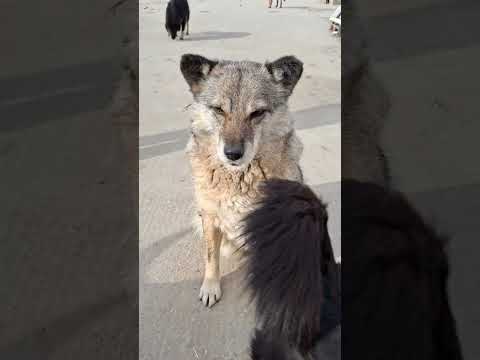 Esja, OR, 2.2.2023 (2)