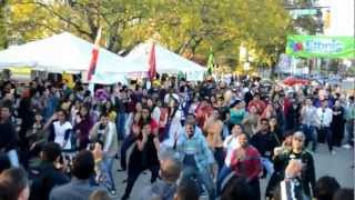 preview picture of video 'Ethnic Expo Flash Mob @ Columbus, IN   Oct 12th 2012'