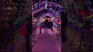 Candy cane Lane #christmas #candycane #shorts #santa