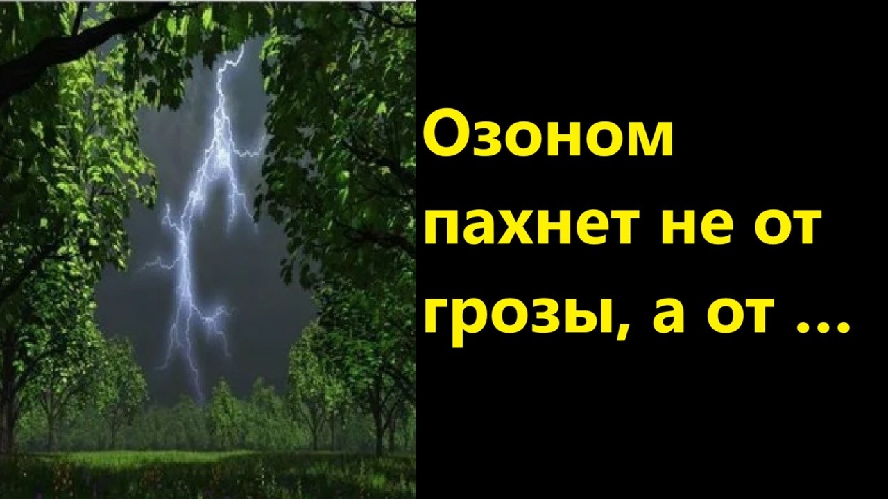 Озоном пахнет не от грозы, а от …