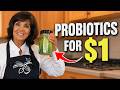 $1 Probiotic You Can Make Today to Heal Your Gut