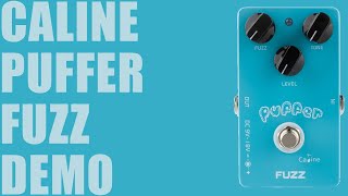 Video thumbnail for Caline - CP-11 Puffer Fuzz - Demo by Ryan Lutton