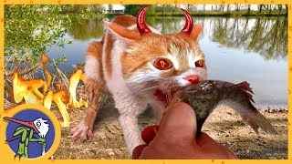 Картинка кот идет на рыбалку