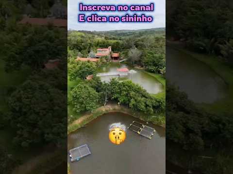 Sensacional fazenda com 31 alqueires em São Miguel do Passa Quatro GO #brasil #fazenda #pecuarista