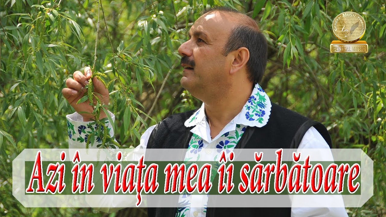 Nicu Novac - Ce-mi doresc de ziua mea - Muzica din Banat