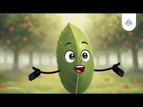 Boost Crop Protection Solutions Efficiency with NACL Fast Spread