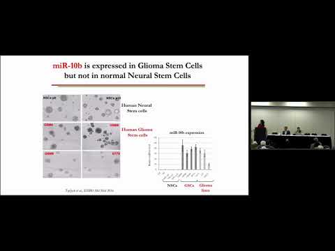 Targeting Onco-microRNA Dependence of Malignant Glioma by Gene Editing - Anna Krichevsky