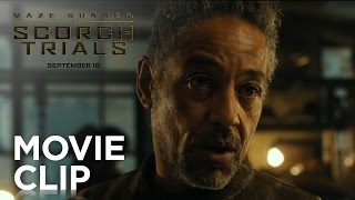 Maze Runner: The Scorch Trials | "You Came From WCKD" Clip [HD] | 20th Century FOX