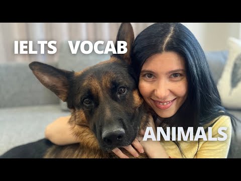 5 ESSENTIAL WORDS about Animals for IELTS Test